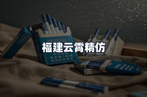 福建云霄精仿